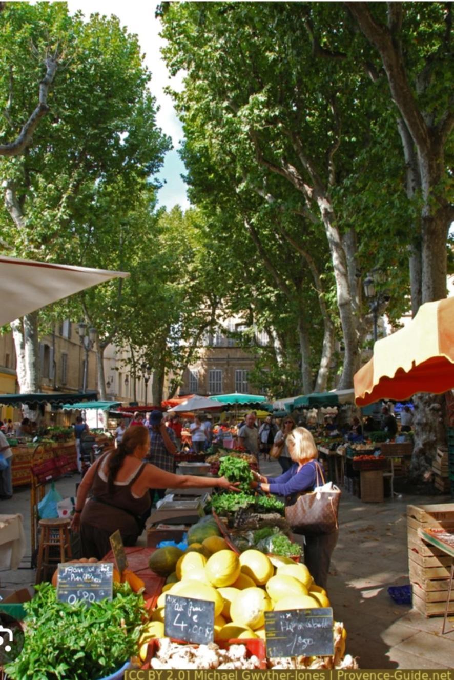 Superbe Appartement Avec Jardin Quart Mazarin Aix-en-Provence Exteriör bild
